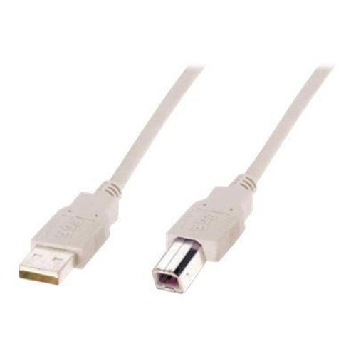 DIGITUS - Câble USB - USB (M) pour USB type B (M) - USB 2.0 - 3 m - beige