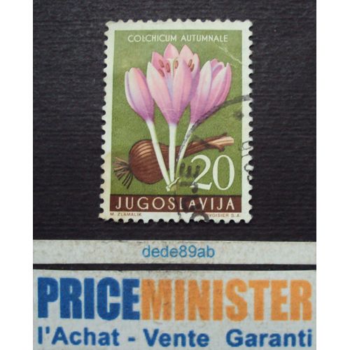 Yougoslavie..  20d F N R  Jugoslavija . Fleurs : Crocus (Colchicum Autumnale) Oblitéré.