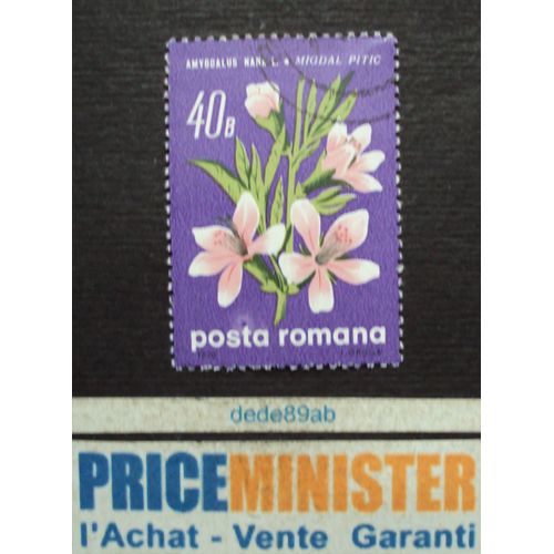 Roumanie..  40b Posta Romana . Fleurs : Amygdalus Nana L. - Migdal Pitic . Oblitéré.