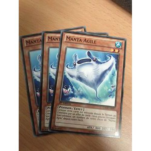 Manta Agile (C) Gaov-Fr097