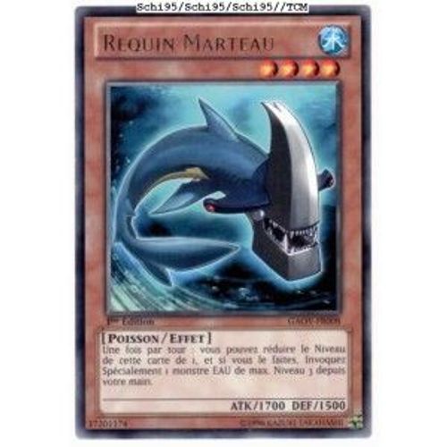 Requin Marteau (R) Gaov-Fr008