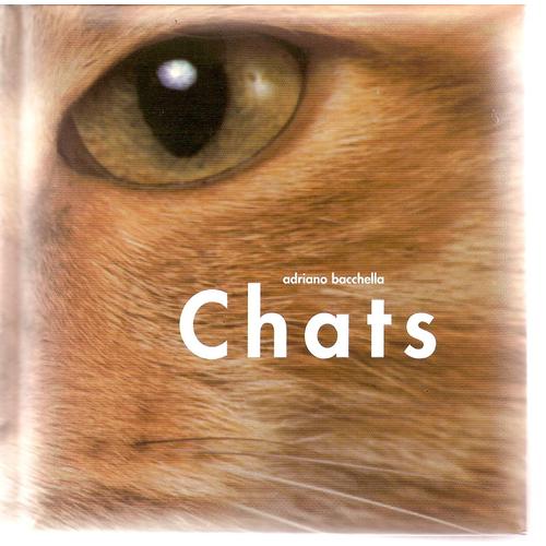 Katten Chats