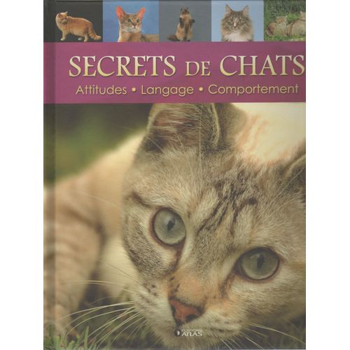 Secrets De Chats