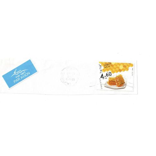Timbre Israël Oblitéré Sur Coin D'enveloppe (2009)