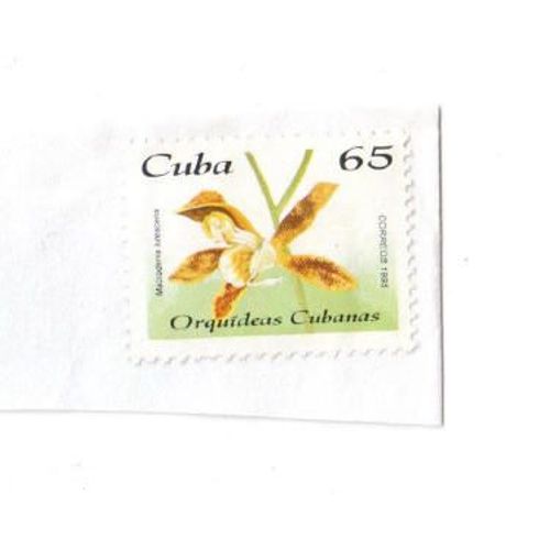 Timbre De Cuba Sur Coin D'enveloppe (Mais Non Oblitéré)