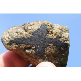 Météorite Nwa 6133 - Diogénite D'un Poids De 135 Gr.