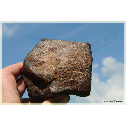 Météorite Nwa 6129 Chondrite H6 De 1131 Gr.