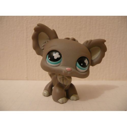 Petshop Chien Papillon N°836
