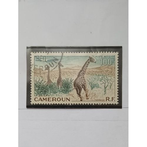 L328 -- Timbre Oblitéré Cameroun, Occupation Française Militaire Poste Aérienne N°47 -- Année1955 --: " Girafes Dans La Savane ".