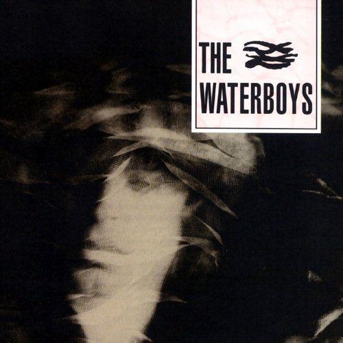 The Waterboys