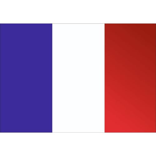 100 Autocollants Drapeau De La France