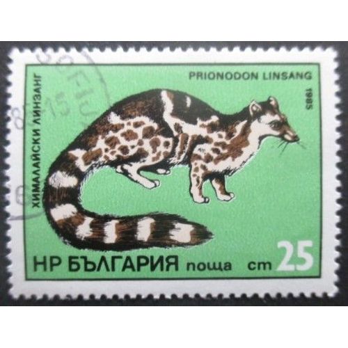 Bulgarie N°2894 Oblitéré