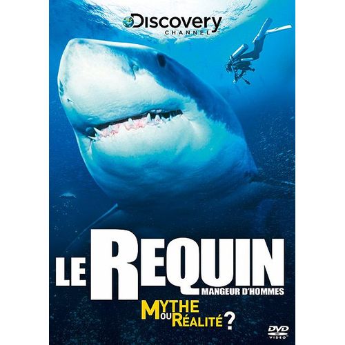 Le Requin Mangeur D'hommes : Mythe Ou Réalité ?