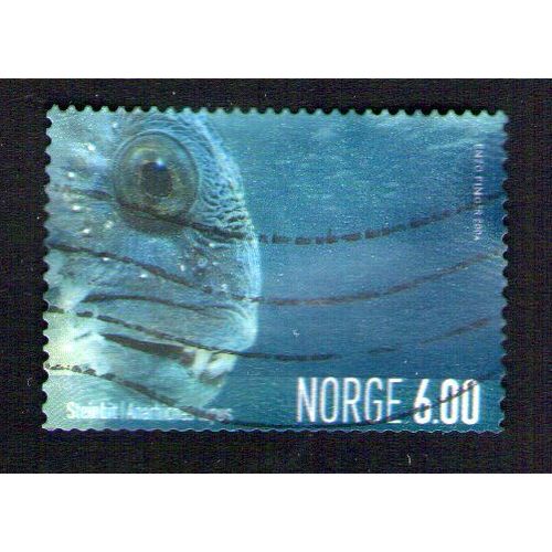 Norvege Oblitéré Used Stamp Poisson Loup Anarhichas Lupus 2004 Wns No004.04