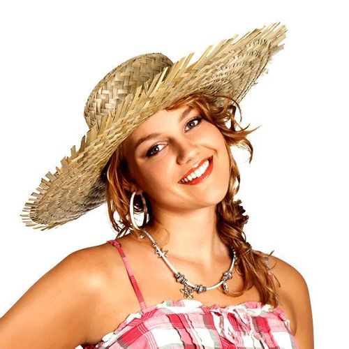 Chapeau Havana