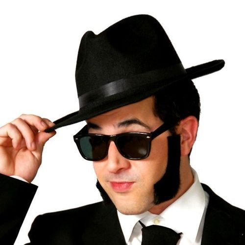 Lunettes Blues Brothers