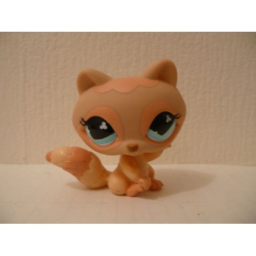 Petshop Raton Laveur N° 669