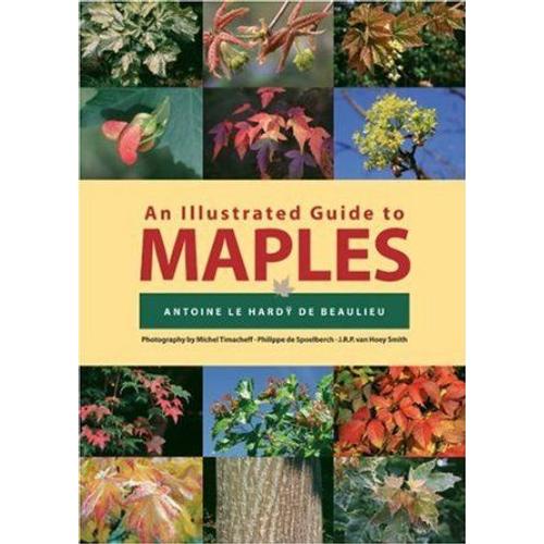 An Illustrated Guide To Maples (Illustrated Guides)