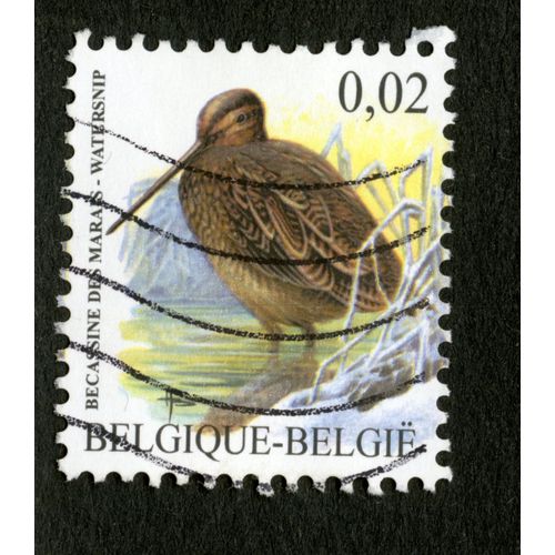 Timbre Oblitéré Belgique, België, Bécassine Des Marais, 0,02