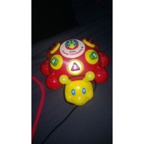 Tortue À Trainer