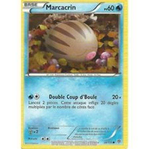 Carte Pokemon Tempete Plasma Marcacrin 26/135