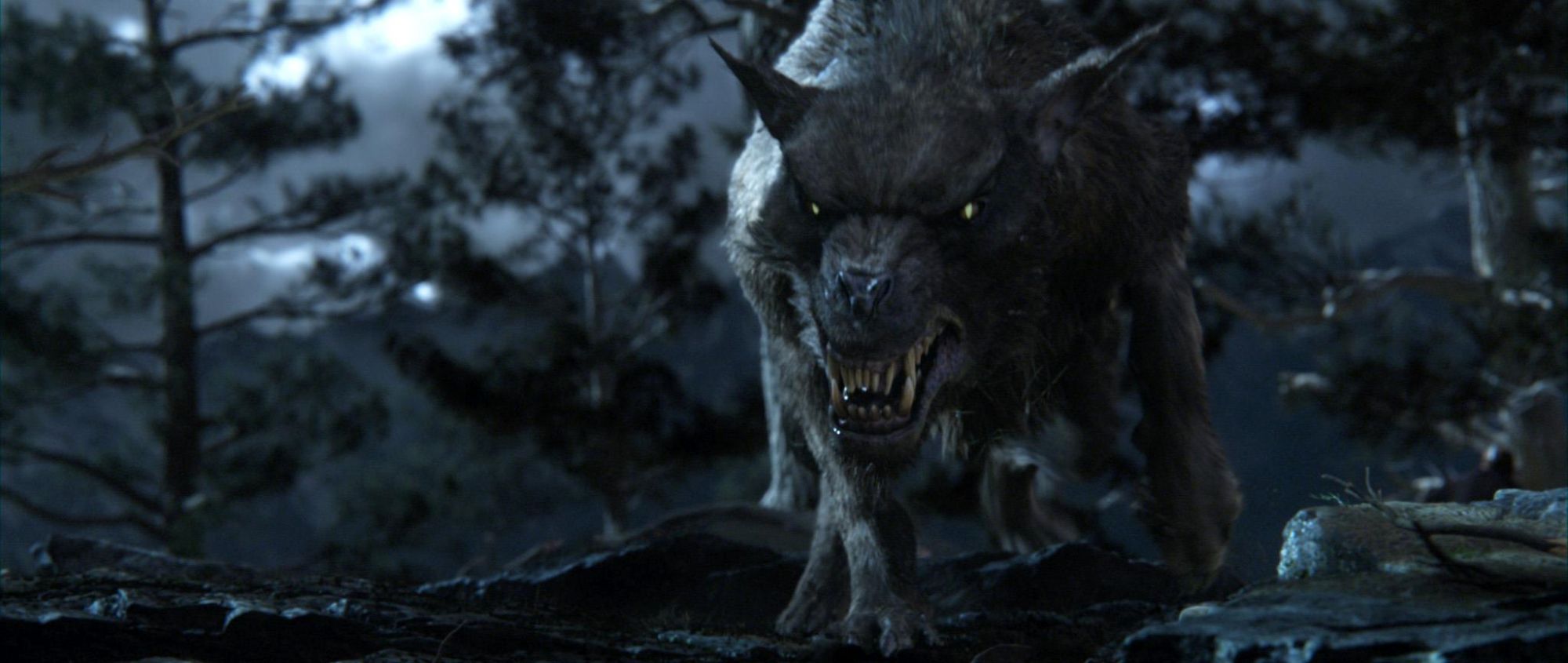 Le Hobbit : Un voyage inattendu - Ultimate Edition - Blu-ray + DVD + Copie digitale - SteelBook Gandalf_image_5|Rakuten