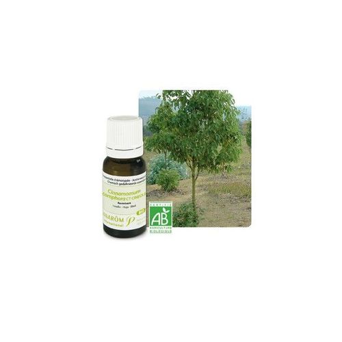 Huile Essentielle De Ravintsara - 10 Ml 
