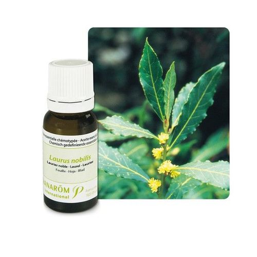 Pranarom Huile Essentielle Laurier Noble - 5 Ml 