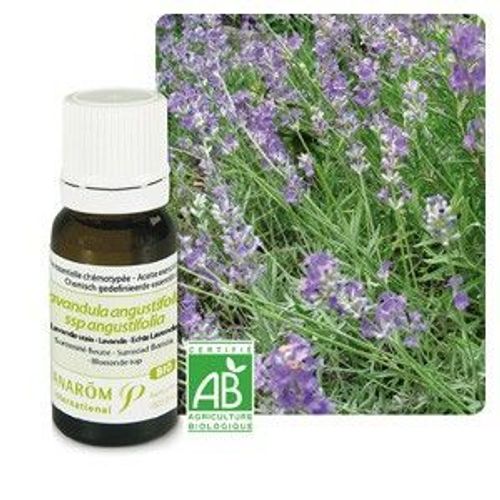 Pranarom Huile Essentielle Lavande Vraie Bio - 10 Ml 