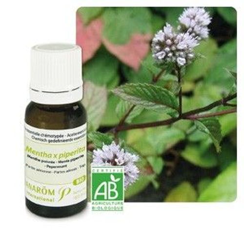 Pranarom Huile Essentielle Menthe Poivrée Bio - 10 Ml 