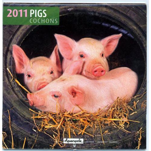 Calendrier 2011 Pigs Cochons Aquarupella