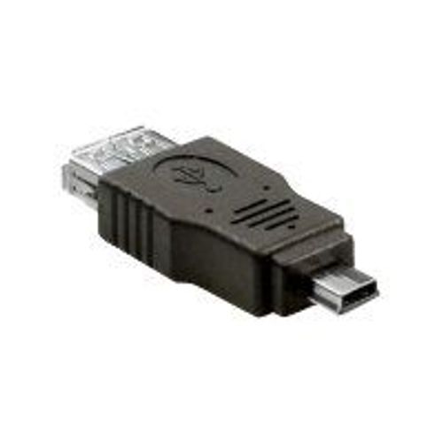 Delock - Adaptateur USB - mini-USB de type B (M) pour USB (F) - USB 2.0 OTG