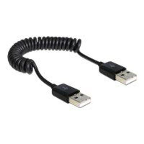Delock - Câble USB - USB (M) pour USB (M) - USB 2.0 - 60 cm - bobiné - noir