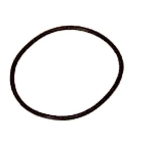 Accessoires De Filtre - Joint De Rechange (12 Pièces) Diam 54