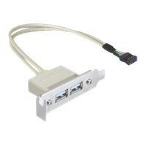 DeLOCK Slot bracket - USB-Kabel - 50 cm
