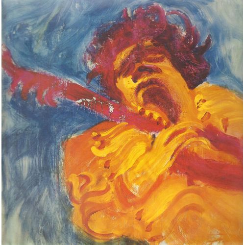 The Jimi Hendrix Concerts