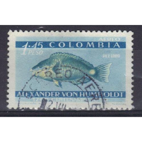 Colombie 1960 Poste Aerienne : Poisson-Perroquet - Timbre Oblitéré