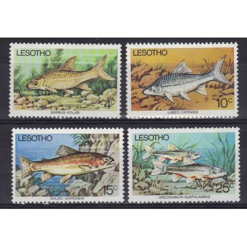 Lesotho 1977 :  Poissons : Barbus Holubi / Labeo Capensis / Salmo Gairdneri / Oreodaimon Quathlambae - Série Entière De 4 Timbres Neufs **