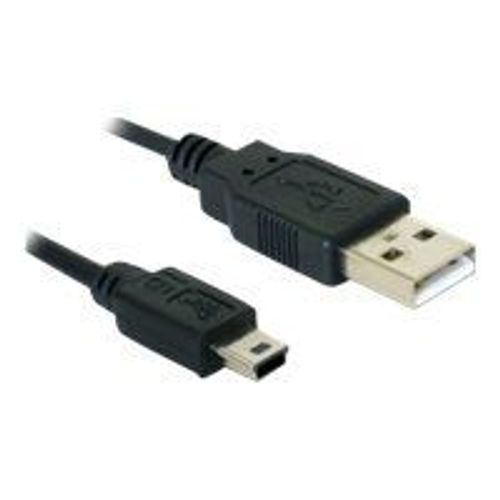 Delock - Câble USB - USB (M) pour mini USB type B (M) - 1 m