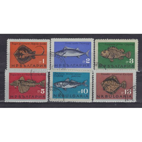 Bulgarie 1965 : Poissons Divers - Série Entière De 6 Timbres Oblitérés