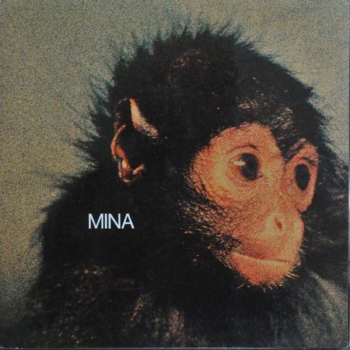 Mina (E Penso A Te)