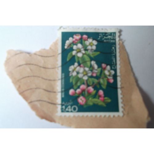 Timbre Algérie Malus Communis