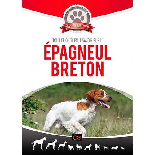 Tout Ce Qu'il Faut Savoir Sur L'épagneul Breton
