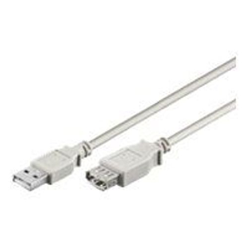 goobay - Rallonge de câble USB - USB (F) pour USB (M) - USB 2.0 - 60 cm - gris
