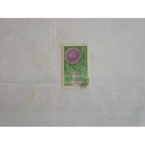 Timbre Roumain De 55 Bani, Fleur Violette Chrysanthemum Indicum.