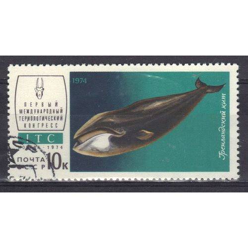 Russie 1974 : Faune : Baleine - Timbre Oblitéré
