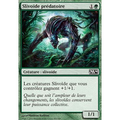 Slivoide Prédatoire M14 C