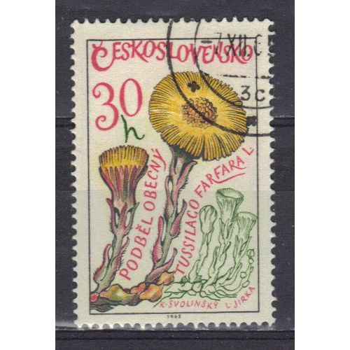 Tchecoslovaquie 1965 : Fleurs Et Plantes Médicinales : Tussilage - Timbre Oblitéré