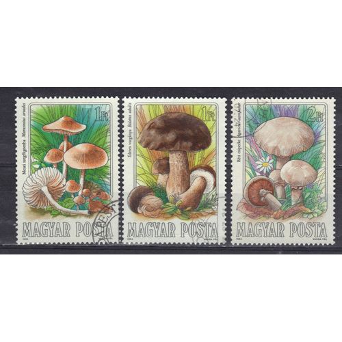 Hongrie 1984 : Champignons Comestibles : Marasmius Oreades / Boletus Edulis / Agaricus Campester - Série De 3 Timbres Oblitérés