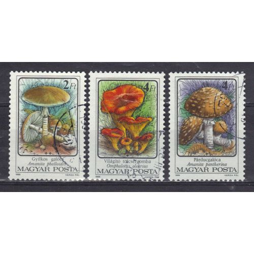Hongrie 1986 : Flore - Champignons Vénéreux : Amanita Phalloides / Amanita Pantherina / Omphalotus Olearius - Série De 3 Timbres Oblitérés